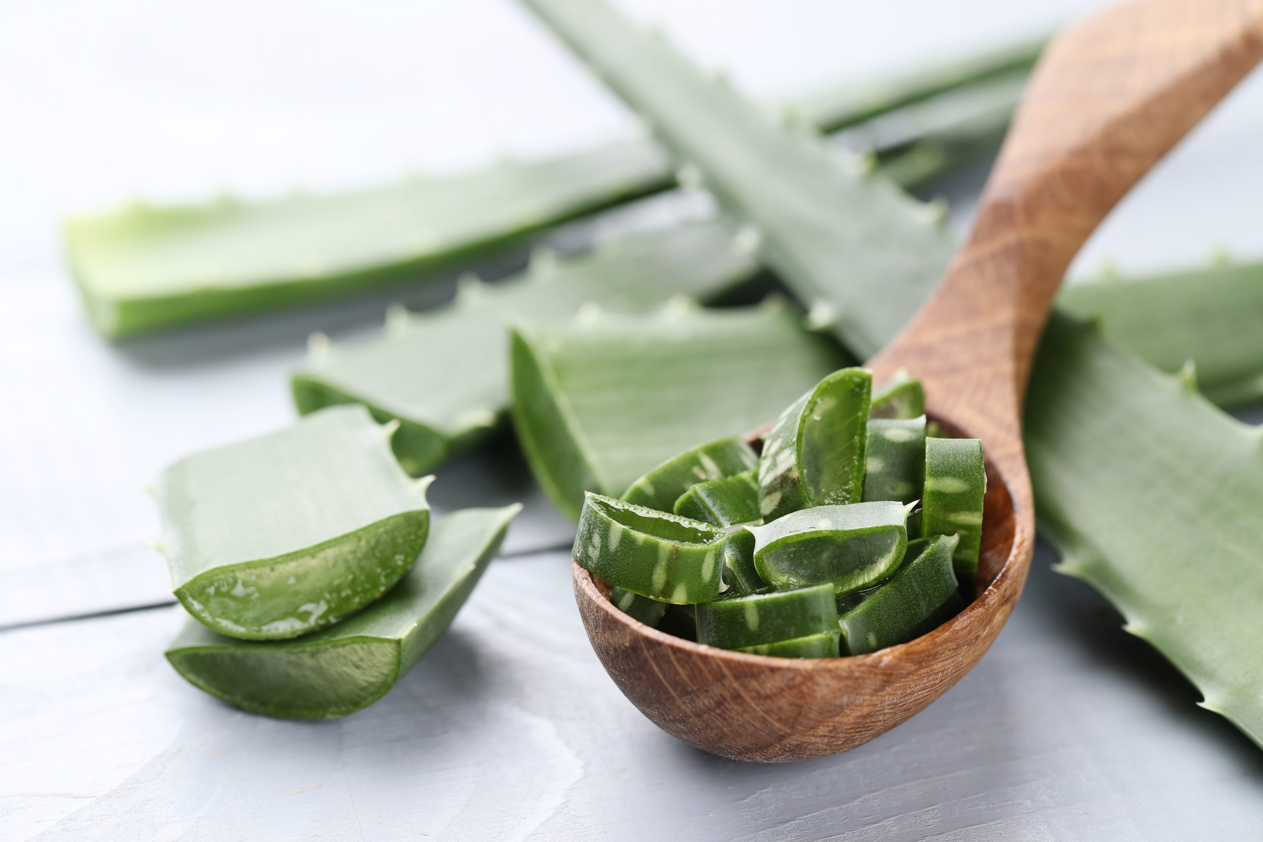 Aloes w kosmetykach naturalnych – dlaczego warto po niego sięgać?